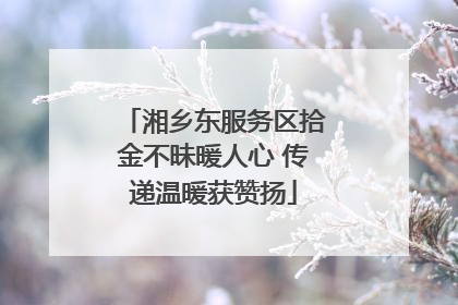 湘乡东服务区拾金不昧暖人心 传递温暖获赞扬