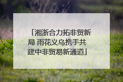 湘浙合力拓非贸新局 雨花义乌携手共建中非贸易新通道