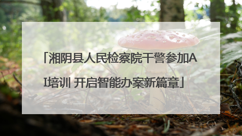 湘阴县人民检察院干警参加AI培训 开启智能办案新篇章