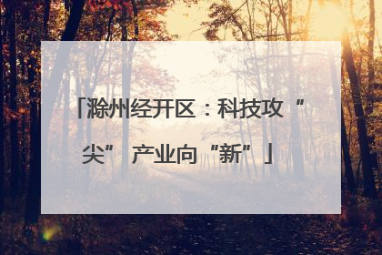 滁州经开区：科技攻“尖” 产业向“新”