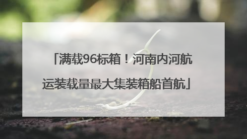 满载96标箱！河南内河航运装载量最大集装箱船首航