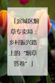 滨城区烟草专卖局：乡村振兴路上的“烟草答卷”