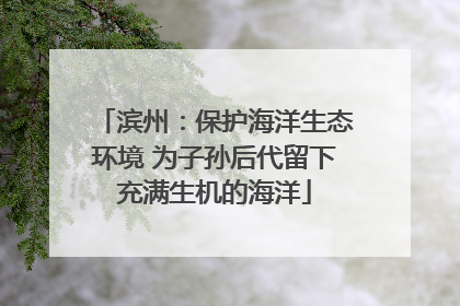 滨州：保护海洋生态环境 为子孙后代留下充满生机的海洋