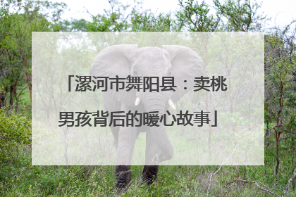 漯河市舞阳县：卖桃男孩背后的暖心故事