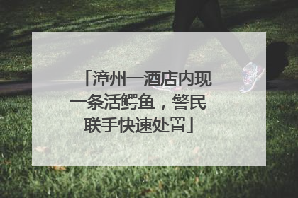 漳州一酒店内现一条活鳄鱼，警民联手快速处置