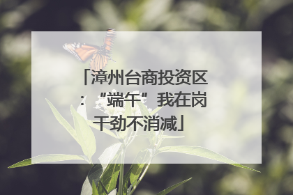 漳州台商投资区：“端午”我在岗 干劲不消减