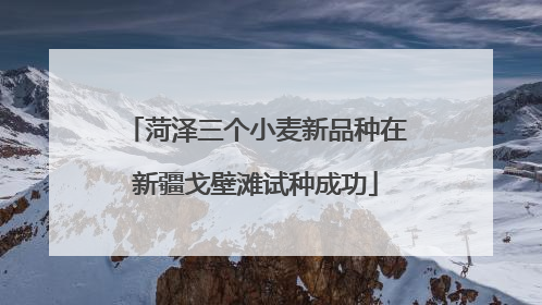 菏泽三个小麦新品种在新疆戈壁滩试种成功