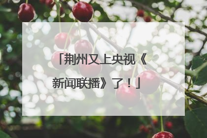 荆州又上央视《新闻联播》了！