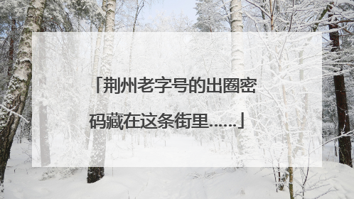 荆州老字号的出圈密码藏在这条街里……