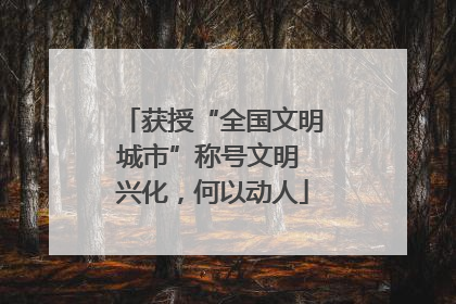 获授“全国文明城市”称号文明 兴化，何以动人