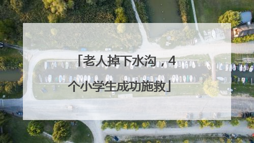 老人掉下水沟，4个小学生成功施救