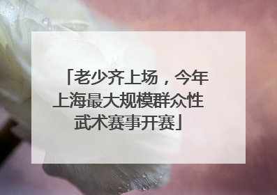 老少齐上场，今年上海最大规模群众性武术赛事开赛