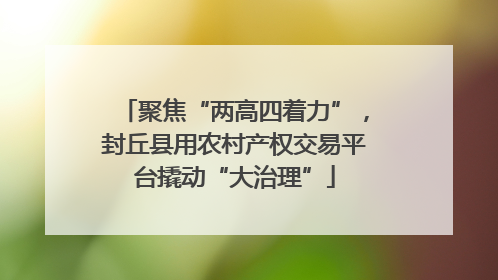 聚焦“两高四着力”，封丘县用农村产权交易平台撬动“大治理”