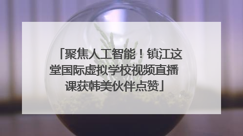 聚焦人工智能！镇江这堂国际虚拟学校视频直播课获韩美伙伴点赞