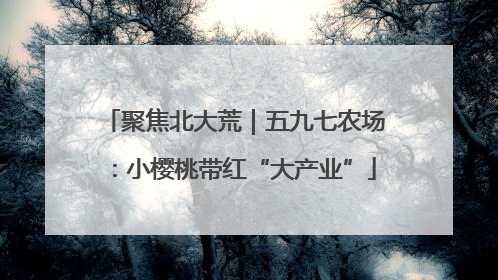 聚焦北大荒｜五九七农场：小樱桃带红“大产业”