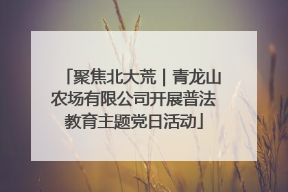 聚焦北大荒｜青龙山农场有限公司开展普法教育主题党日活动