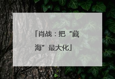 肖战：把“藏海”最大化