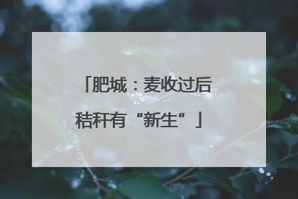 肥城：麦收过后秸秆有“新生”