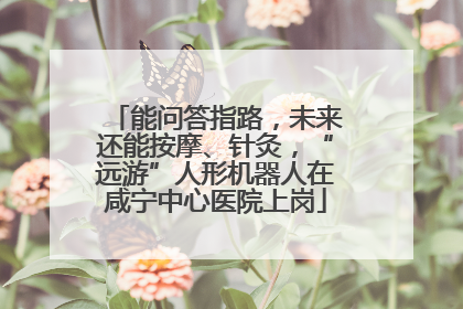 能问答指路，未来还能按摩、针灸，“远游”人形机器人在咸宁中心医院上岗