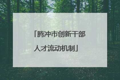 腾冲市创新干部人才流动机制