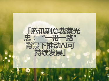 腾讯副总裁蔡光忠：“一带一路”背景下推动AI可持续发展