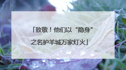 致敬！他们以“隐身”之名护羊城万家灯火