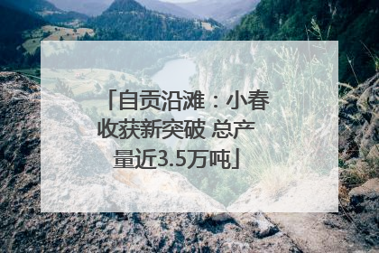 自贡沿滩：小春收获新突破 总产量近3.5万吨