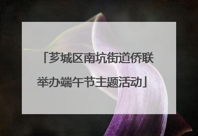 芗城区南坑街道侨联举办端午节主题活动