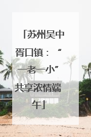 苏州吴中胥口镇：“一老一小”共享浓情端午