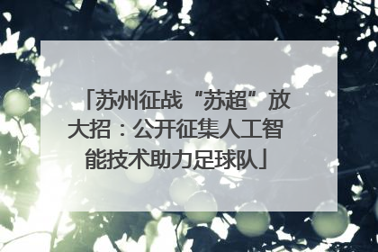 苏州征战“苏超”放大招：公开征集人工智能技术助力足球队