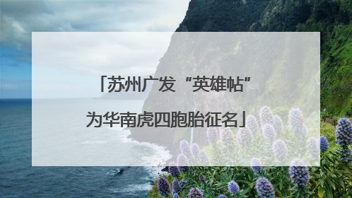 苏州广发“英雄帖”为华南虎四胞胎征名