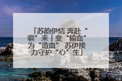 苏韵伊情 奔赴“疆”来丨变“输血”为“造血” 苏伊接力守护“心”生
