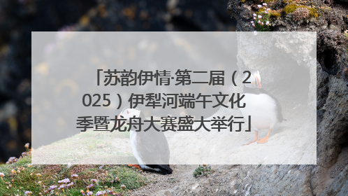 苏韵伊情·第二届（2025）伊犁河端午文化季暨龙舟大赛盛大举行