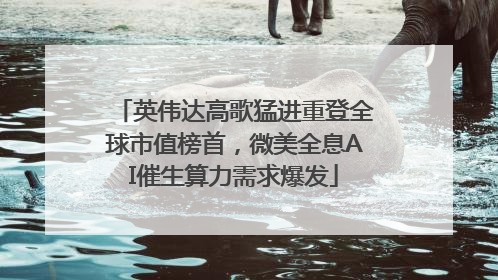 英伟达高歌猛进重登全球市值榜首，微美全息AI催生算力需求爆发