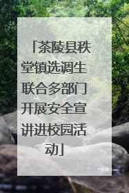 茶陵县秩堂镇选调生联合多部门开展安全宣讲进校园活动