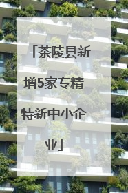 茶陵县新增5家专精特新中小企业