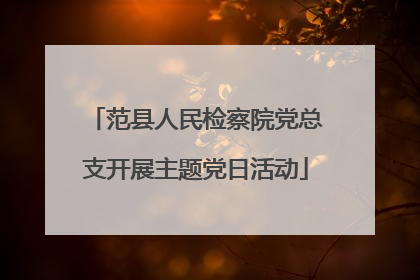 范县人民检察院党总支开展主题党日活动
