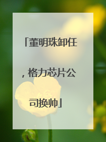 董明珠卸任，格力芯片公司换帅