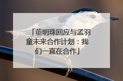 董明珠回应与孟羽童未来合作计划：我们一直在合作