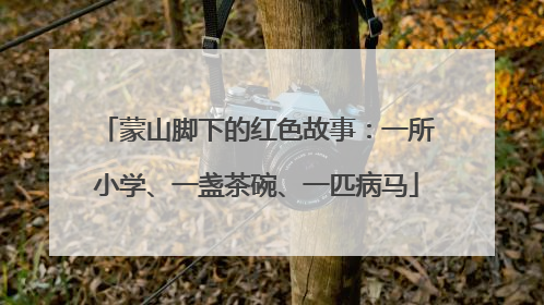 蒙山脚下的红色故事：一所小学、一盏茶碗、一匹病马
