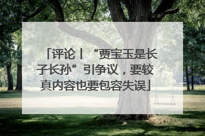 评论丨“贾宝玉是长子长孙”引争议，要较真内容也要包容失误