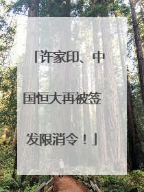 许家印、中国恒大再被签发限消令！