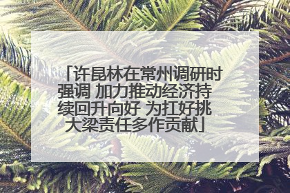 许昆林在常州调研时强调 加力推动经济持续回升向好 为扛好挑大梁责任多作贡献