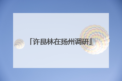 许昆林在扬州调研