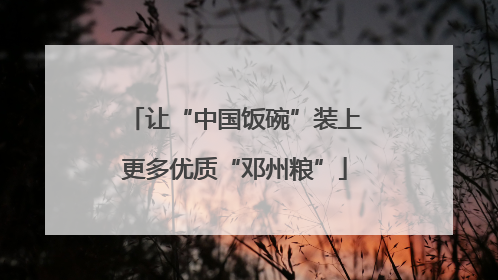 让“中国饭碗”装上更多优质“邓州粮”