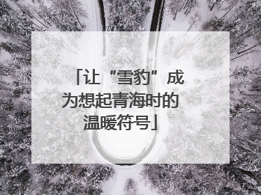 让“雪豹”成为想起青海时的温暖符号