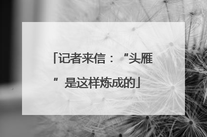 记者来信：“头雁”是这样炼成的