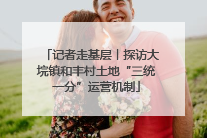 记者走基层丨探访大垸镇和丰村土地“三统一分”运营机制