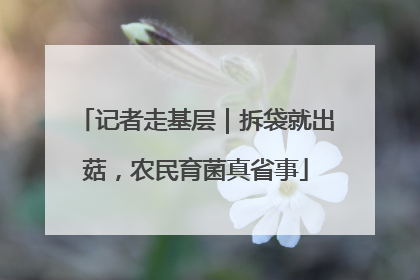 记者走基层｜拆袋就出菇，农民育菌真省事