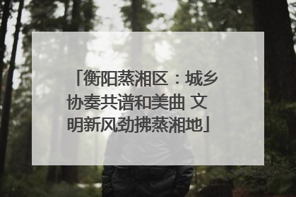 衡阳蒸湘区：城乡协奏共谱和美曲 文明新风劲拂蒸湘地